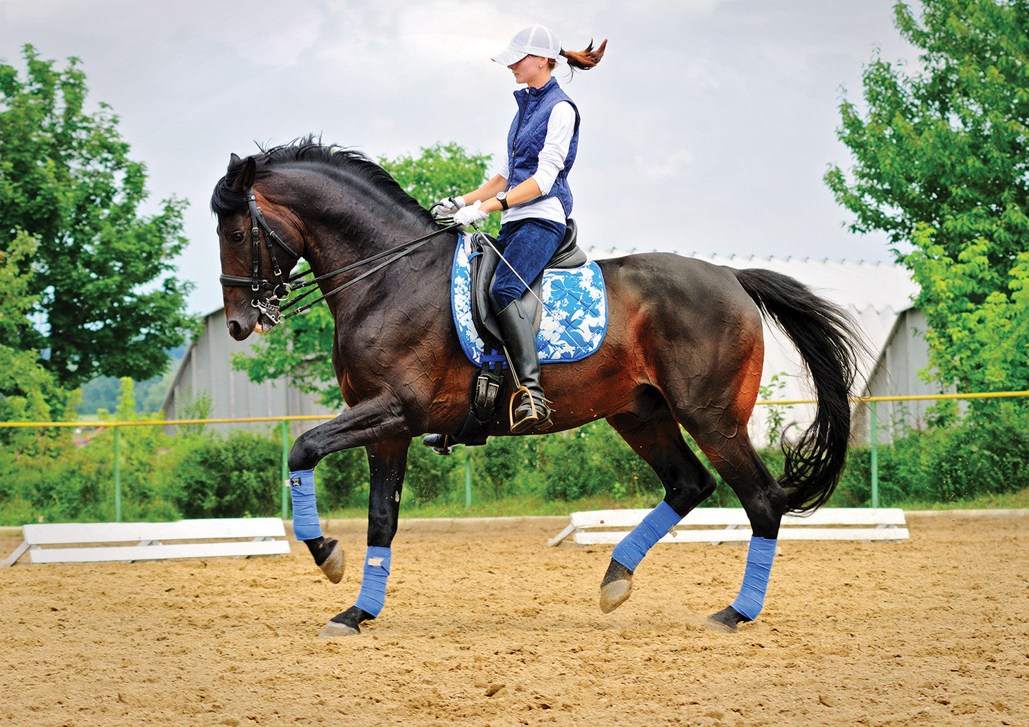 Dressage review in Equine Journal: Pony Tail Sportswear #1!!